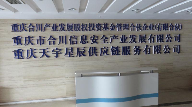重庆市合川信息安全产业发展有限公司